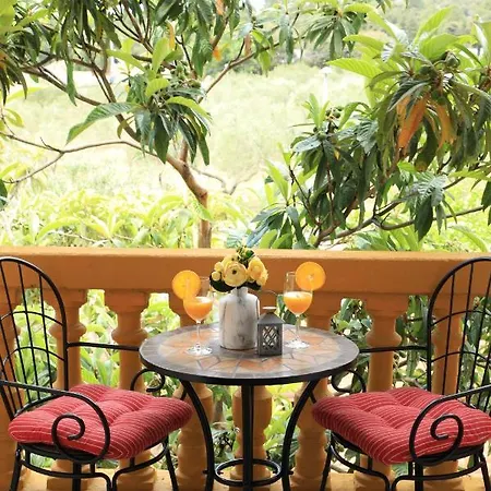 Sarlija * Pakoštane