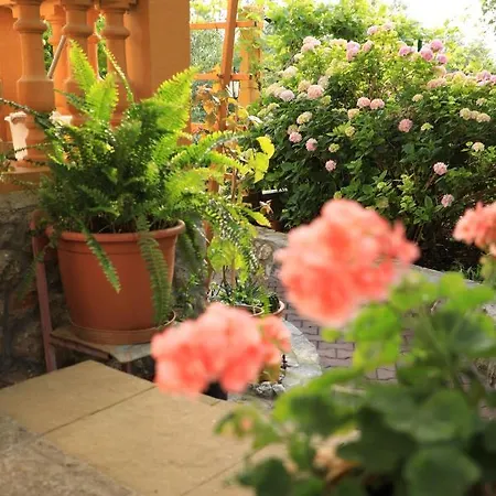 Apartman Sarlija Pakoštane